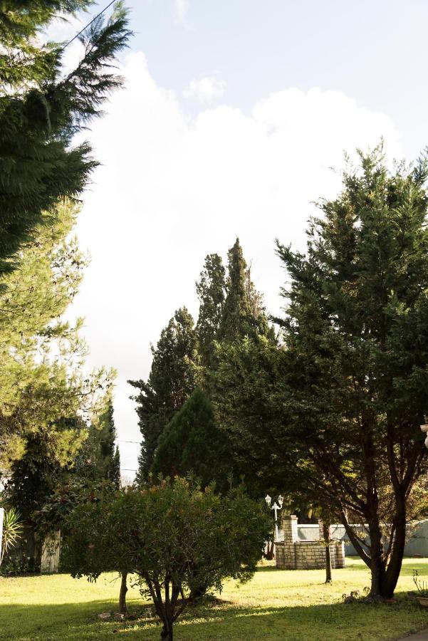 Villa The House